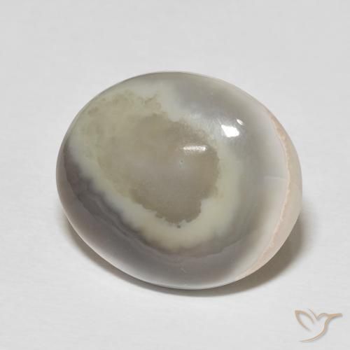 Agate Multicolore naturelle ovale, 11.77 ct, Opaque