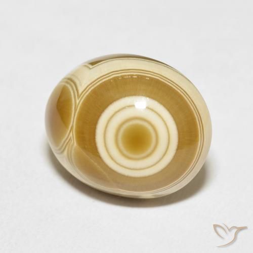 Agate Multicolore naturelle ovale, 11.77 ct, Opaque