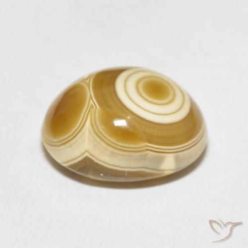 Agate Multicolore naturelle ovale, 11.77 ct, Opaque