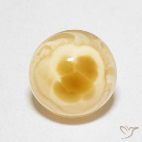 Agate multicolore naturelle coupe roude, 5,40 ct, opaque