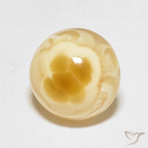 Agate multicolore naturelle coupe roude, 5,40 ct, opaque