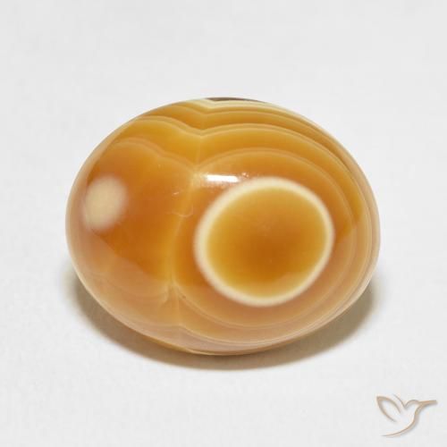 10.98ct Naturel Multicolore Agate, ovale, Opaque