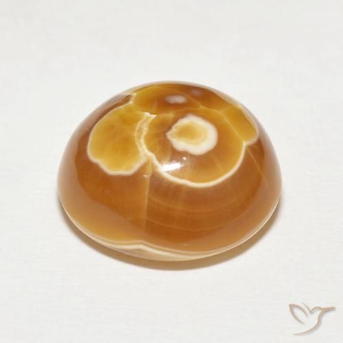 Agate Multicolore naturelle Tour, 16.88 ct, Opaque
