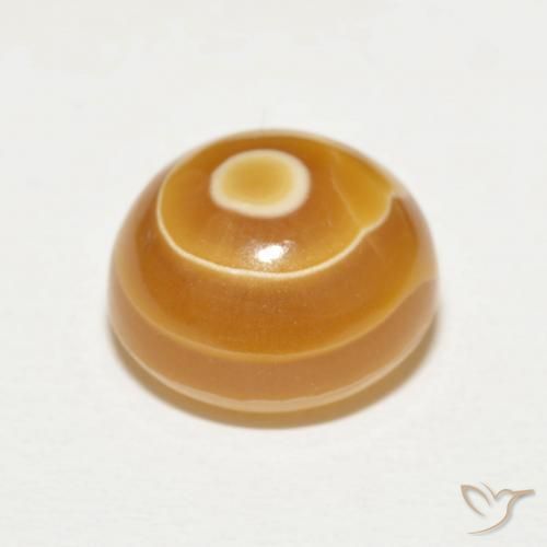 Agate Multicolore naturelle Tour, 10.42 ct, Opaque