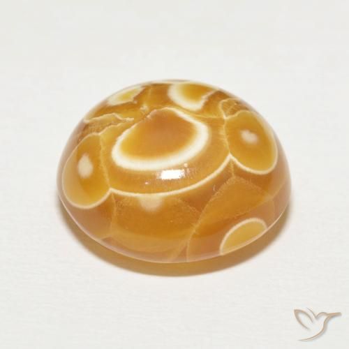 Agate Multicolore naturelle Tour, 18.21 ct, Opaque
