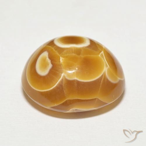 Agate Multicolore naturelle Tour, 24.27 ct, Opaque