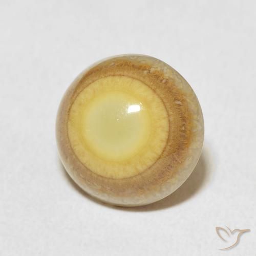 Agate Multicolore naturelle Tour, 4.88 ct, Opaque
