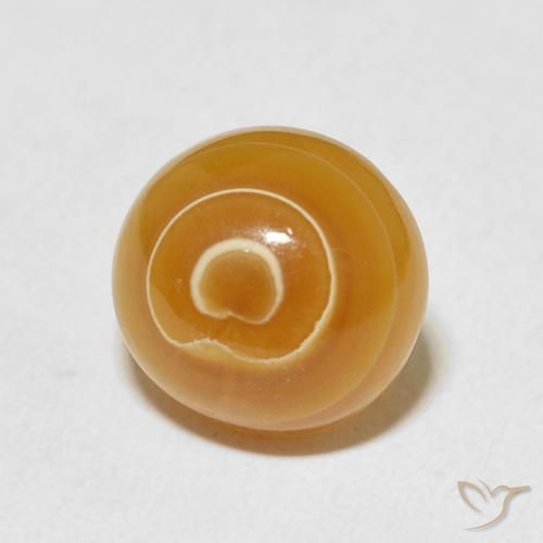 Agate Multicolore naturelle Tour, 7.24 ct, Opaque