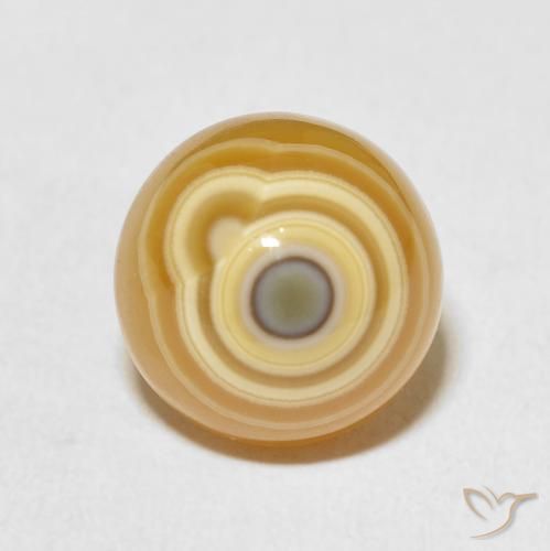 Agate Multicolore naturelle Tour, 9.53 ct, Opaque