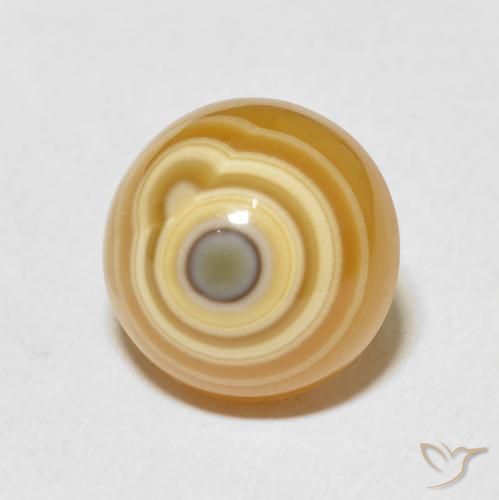 Agate Multicolore naturelle Tour, 9.53 ct, Opaque