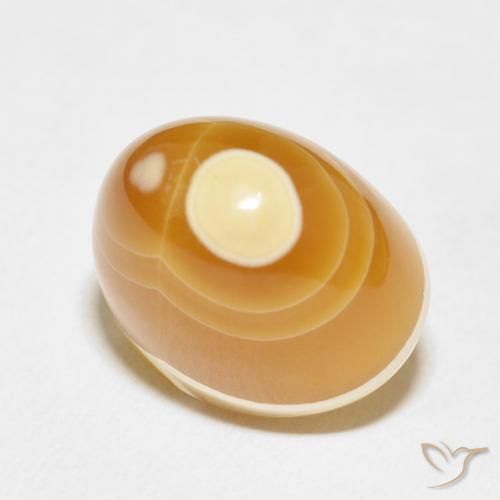 23.03ct Naturel Multicolore Agate, Fantaisie, Opaque