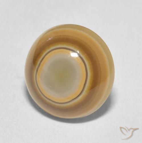 Agate Multicolore naturelle Tour, 4.89 ct, Opaque