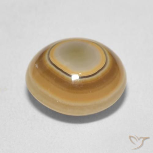 Agate Multicolore naturelle Tour, 4.89 ct, Opaque