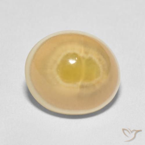 7.51ct Naturel Multicolore Agate, ovale, Opaque