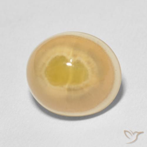 Agate Multicolore naturelle ovale, 7.51 ct, Opaque