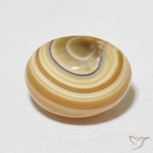 8.72ct Naturel Multicolore Agate, ovale, Opaque
