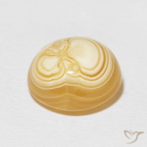 Agate Multicolore naturelle ovale, 11.90 ct, Opaque