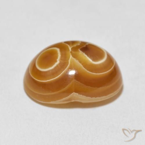 Agate Multicolore naturelle ovale, 18.67 ct, Opaque