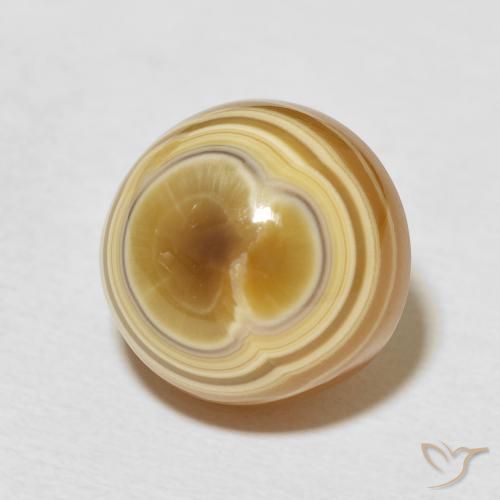 Agate Multicolore naturelle Tour, 16.93 ct, Opaque