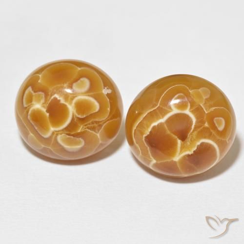 34.60ctw Naturel Multicolore Agate, ovale, Opaque