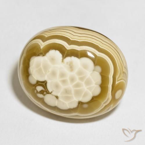 Agate Multicolore naturelle ovale, 100.81 ct, Opaque