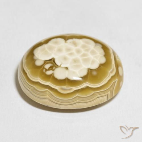 Agate Multicolore naturelle ovale, 100.81 ct, Opaque