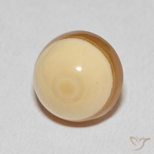 Agate Multicolore naturelle Tour, 13.48 ct, Opaque
