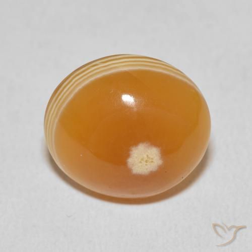15.33ct Naturel Multicolore Agate, ovale, Opaque