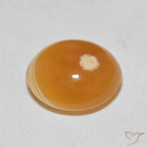 Agate Multicolore naturelle ovale, 15.33 ct, Opaque