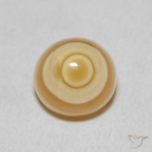 8.00ct Naturel Multicolore Agate, Fantaisie, Opaque