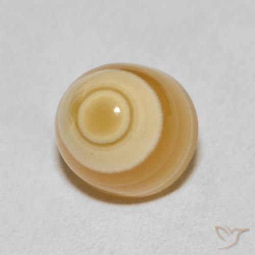 Agate Multicolore naturelle Fantaisie, 8.00 ct, Opaque