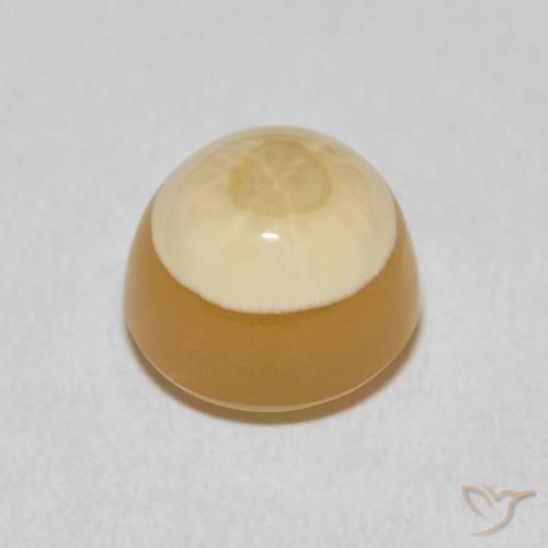 Agate Multicolore naturelle Tour, 6.83 ct, Opaque
