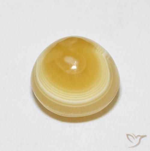 Agate Multicolore naturelle Tour, 9.10 ct, Opaque