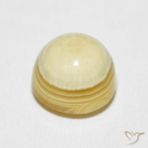 Agate Multicolore naturelle Tour, 8.23 ct, Opaque