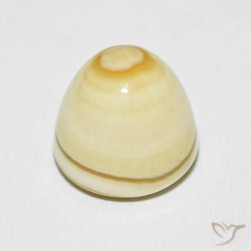 Agate Multicolore naturelle Fantaisie, 15.45 ct, Opaque