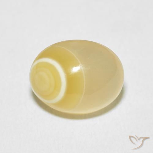 9.44ct Naturel Multicolore Agate, ovale, Opaque