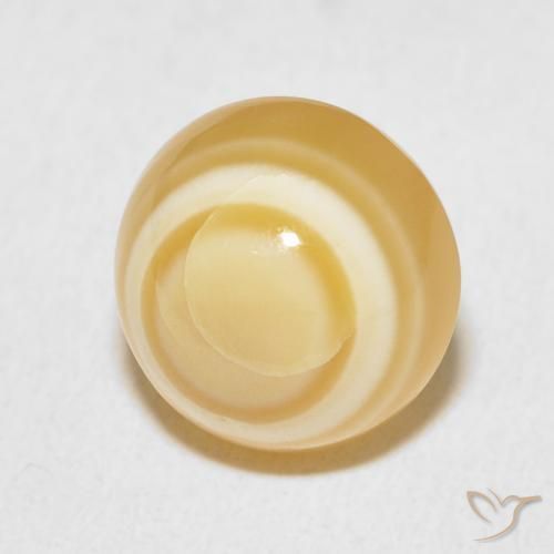 Agate Multicolore naturelle Tour, 8.64 ct, Opaque