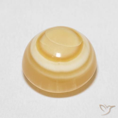 Agate Multicolore naturelle Tour, 8.64 ct, Opaque