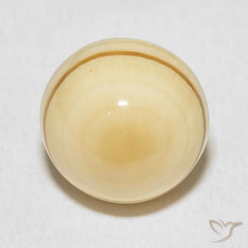 Agate Multicolore naturelle Tour, 10.10 ct, Opaque