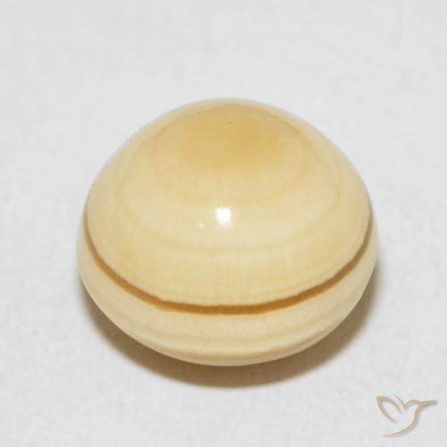 Agate Multicolore naturelle Tour, 10.10 ct, Opaque