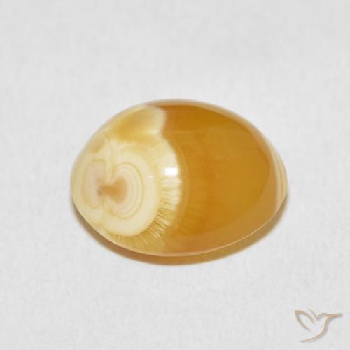 Agate Multicolore naturelle ovale, 10.47 ct, Opaque