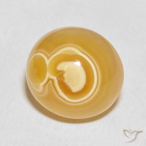 Agate Multicolore naturelle ovale, 20.62 ct, Opaque