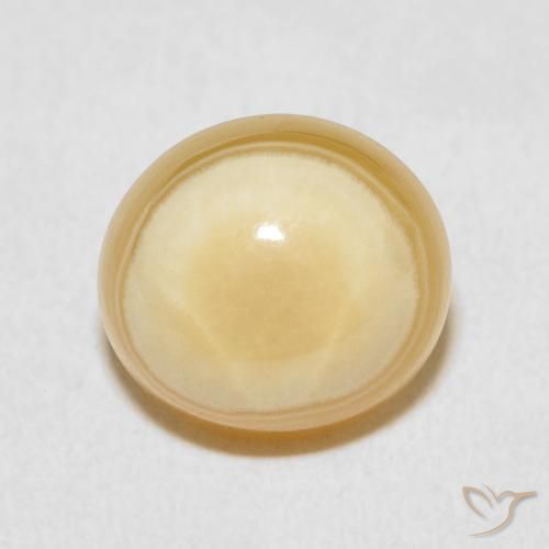 9.04ct Naturel Multicolore Agate, ovale, Opaque