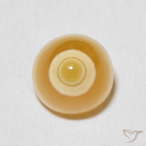 5.91ct Naturel Multicolore Agate, Fantaisie, Opaque