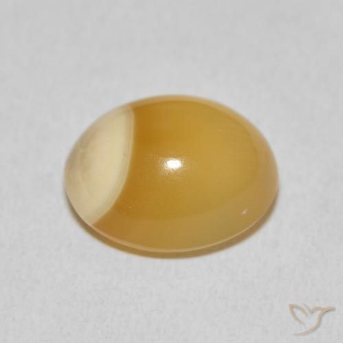 Agate Multicolore naturelle ovale, 8.91 ct, Opaque