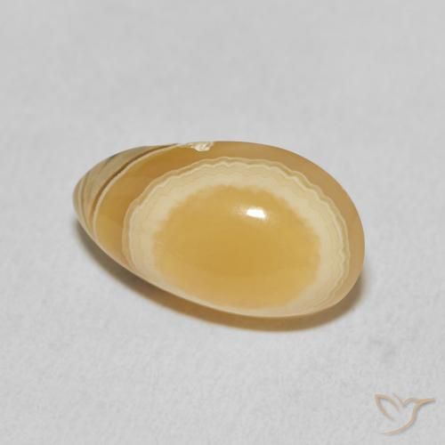 Agate Multicolore naturelle En forme de poire, 11.05 ct, Opaque