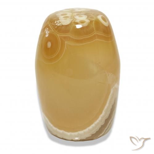 Agate Multicolore naturelle Fantaisie, 55.45 ct, Translucide