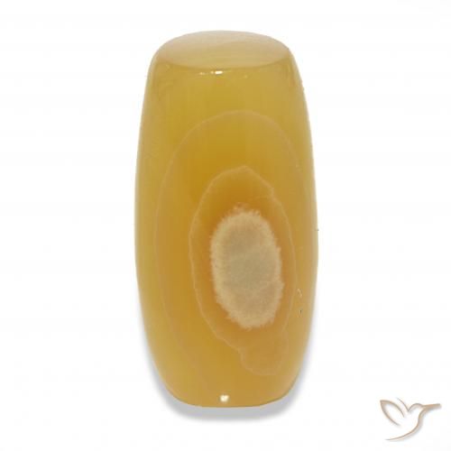 Agate Multicolore naturelle Fantaisie, 24.20 ct, Translucide