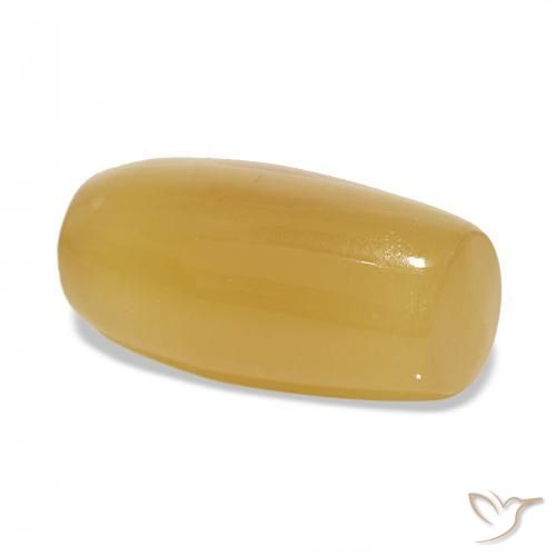 Agate Multicolore naturelle Fantaisie, 24.20 ct, Translucide