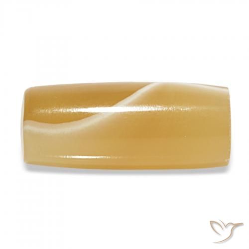 Agate Multicolore naturelle Fantaisie, 8.16 ct, Translucide